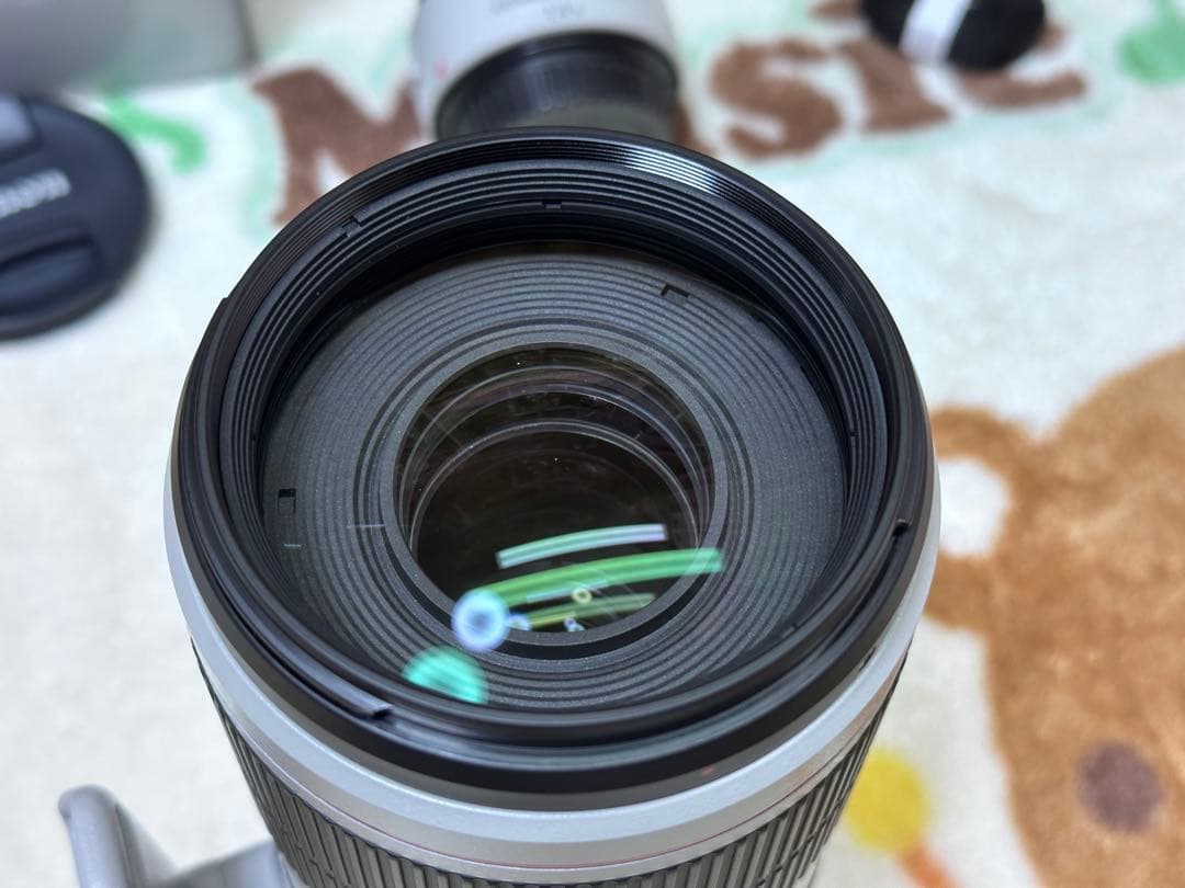 EF100-400mm f/4.5-5.6L IS II USM+エクステンダー