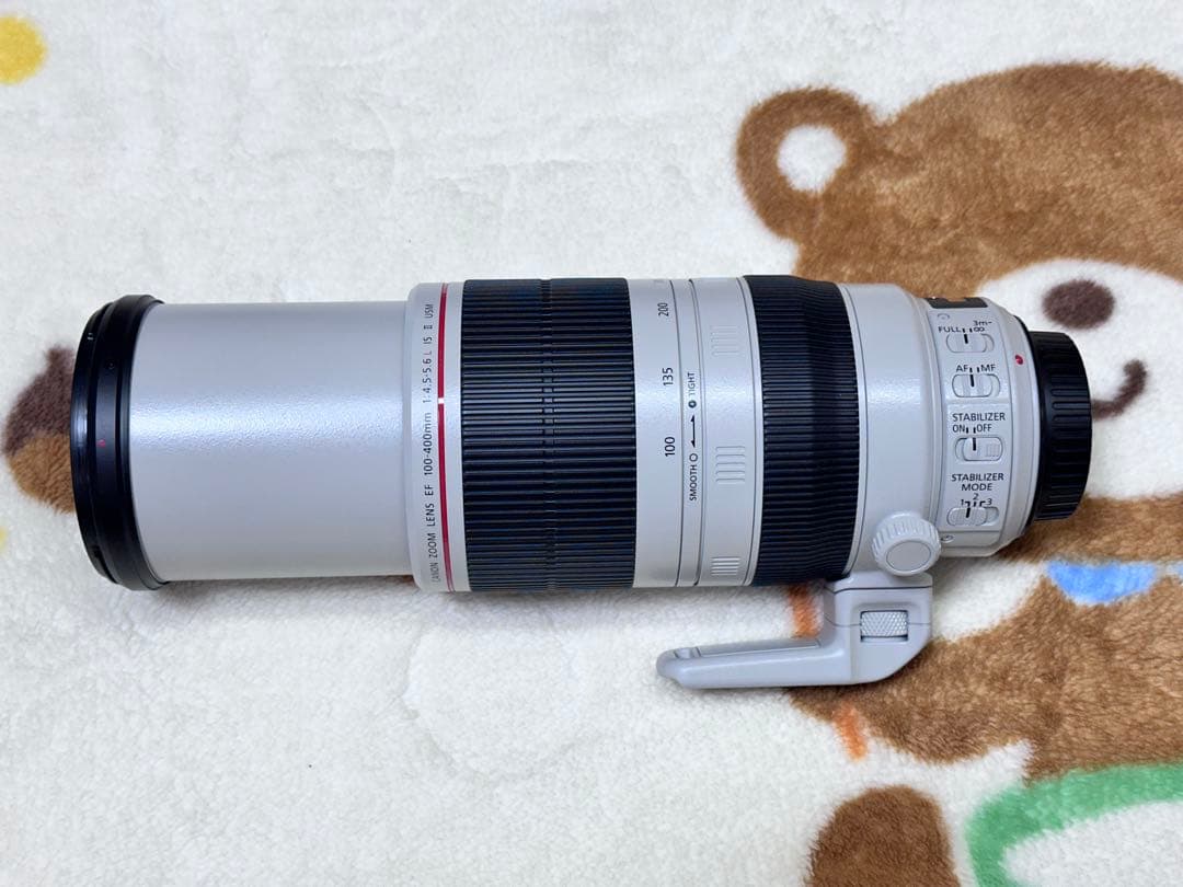 EF100-400mm f/4.5-5.6L IS II USM+エクステンダー
