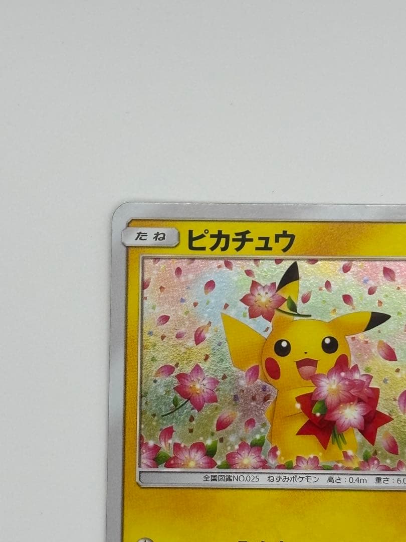 ピカチュウ 224/SM-P みんなでいわう プロモ