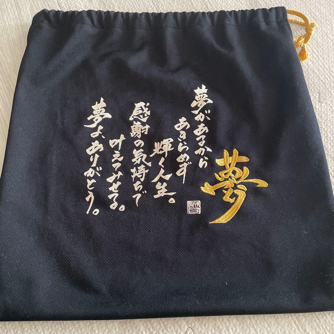 ミズノ SELECT9 professional少年野球 左投げ 美品