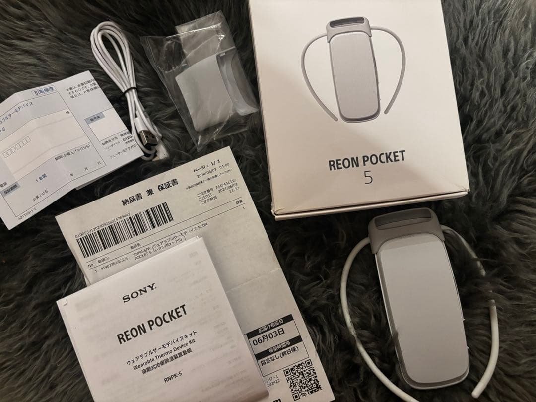 【付属品完備】SONY レオンポケット5 REON POCKET5 RNPK-5