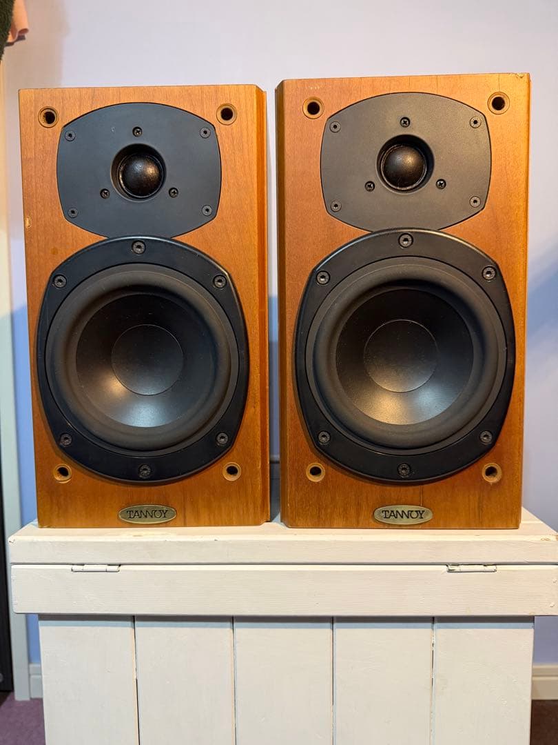 スピーカー・ウーファー zappamanTANNOY revolution r1