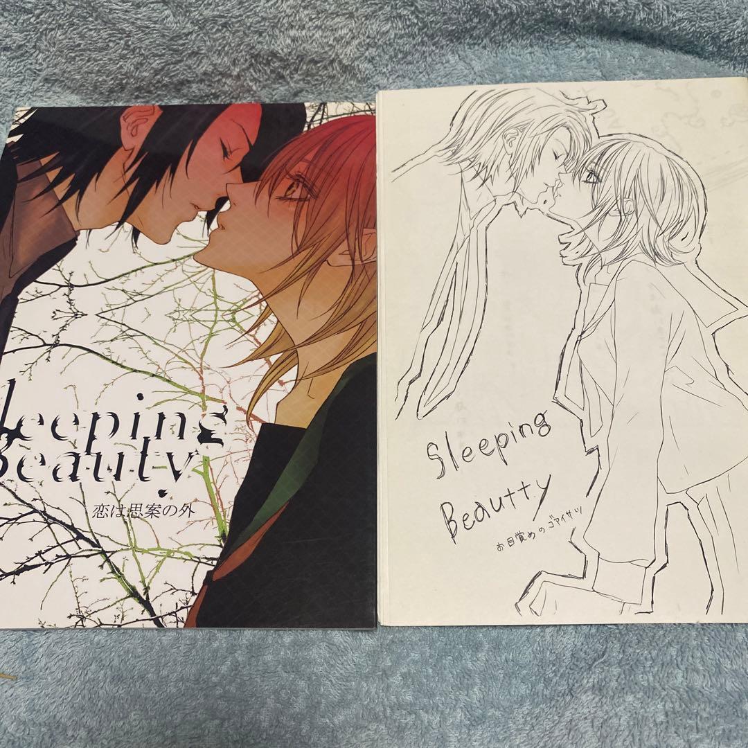 ガンダムSEED＆DESTINY アスカガ　言片虹日/蝶々 10冊SET小冊子付