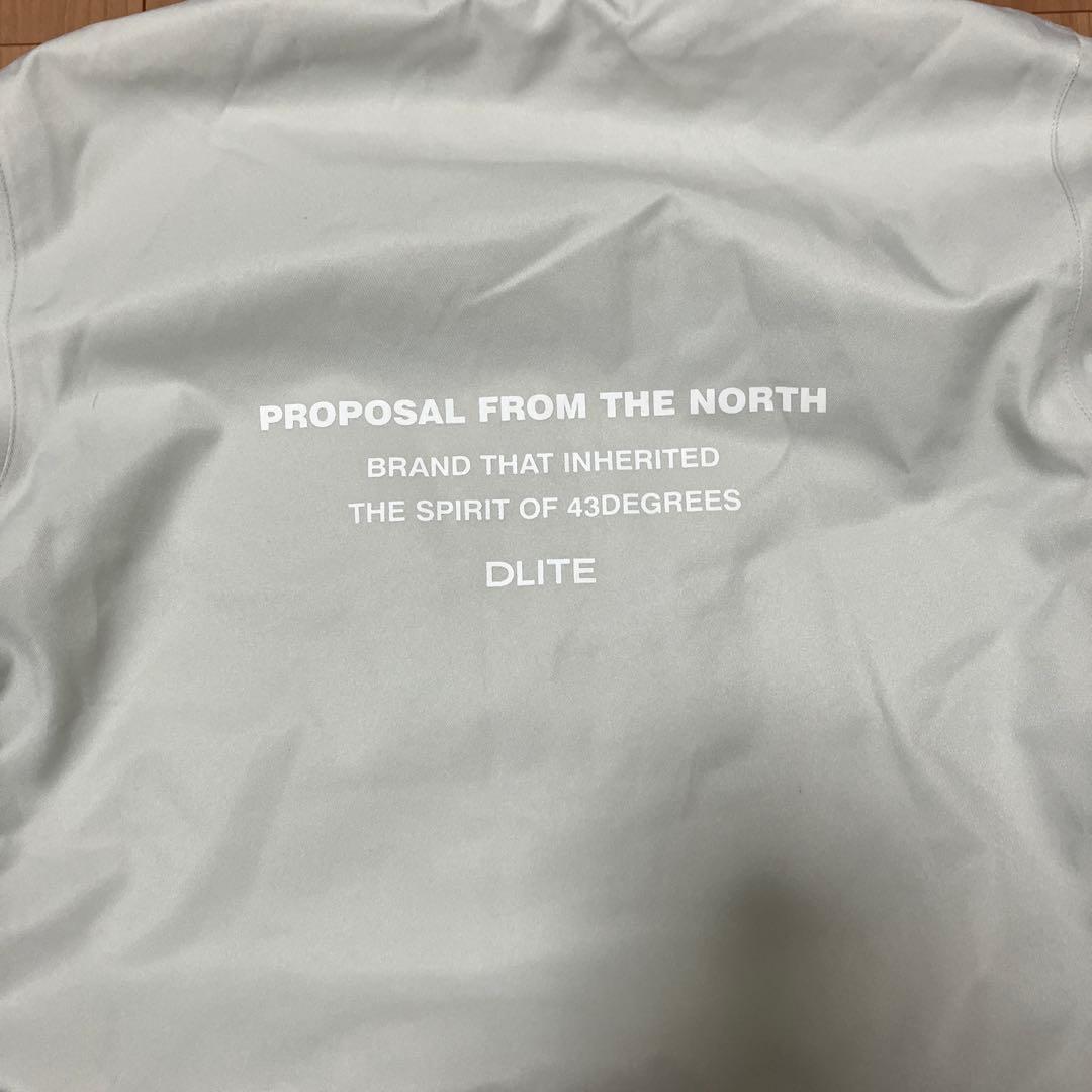 DLITE スノーボードウェア上下セット レディースLサイズ