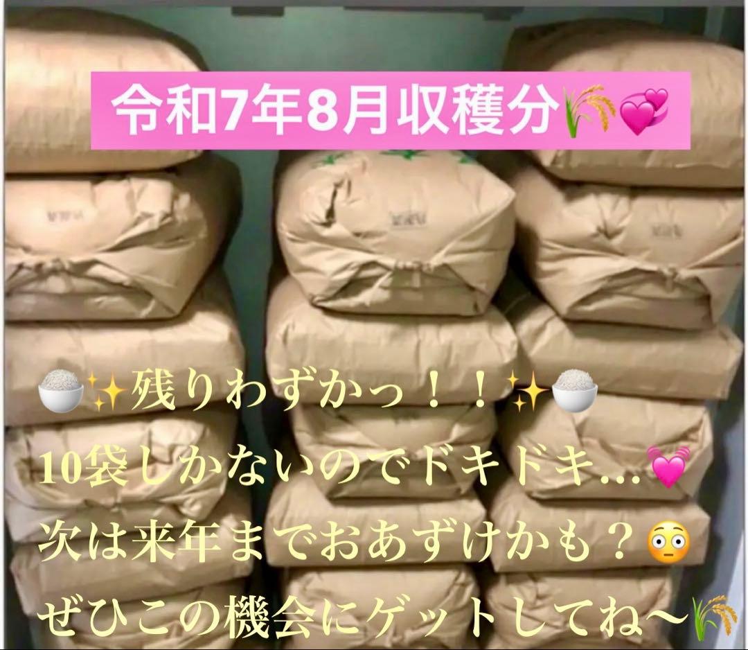 令和7年新米!!高知産コシヒカリ玄米30kg☆彡