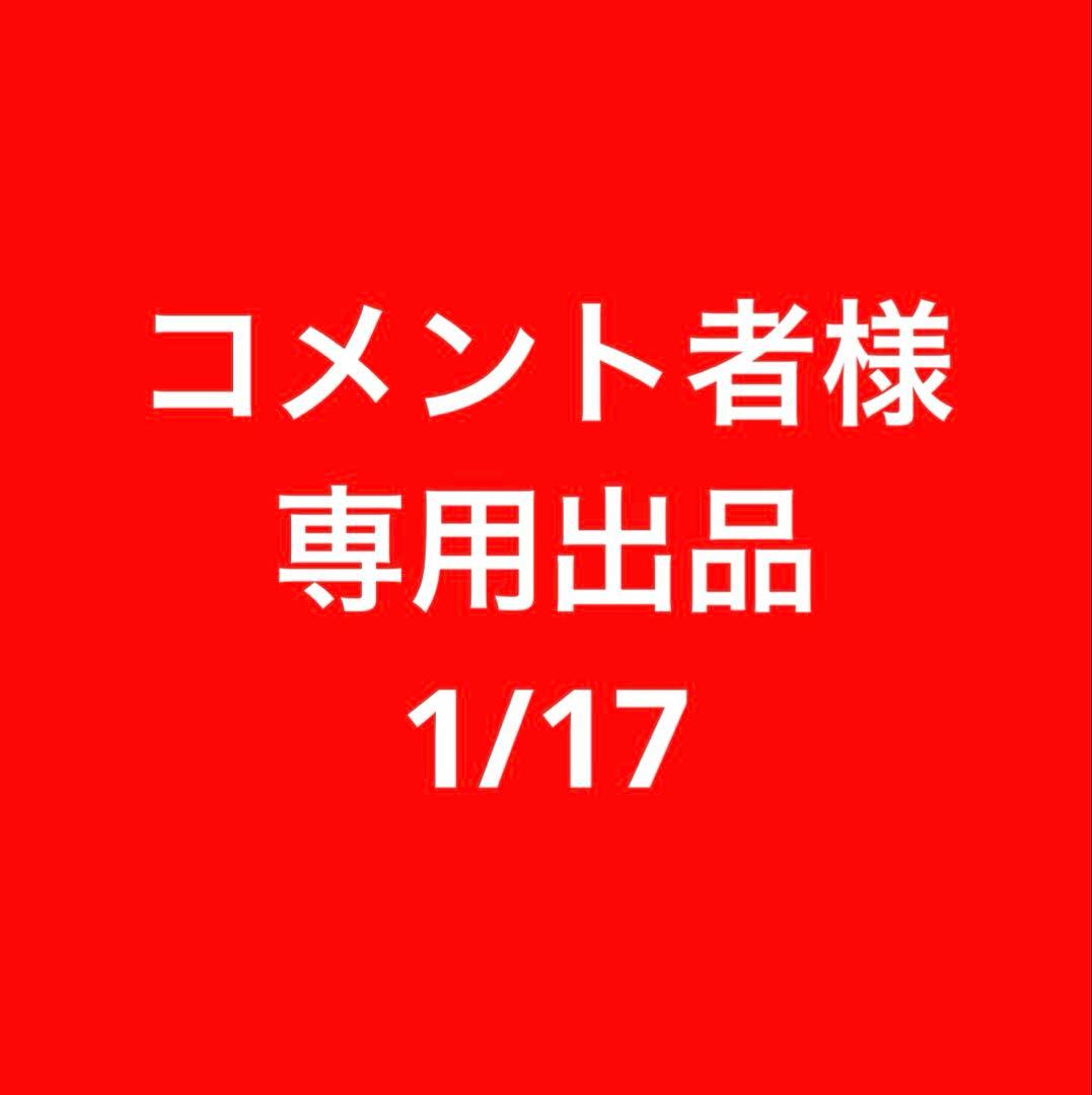 コメント者1/17 大12