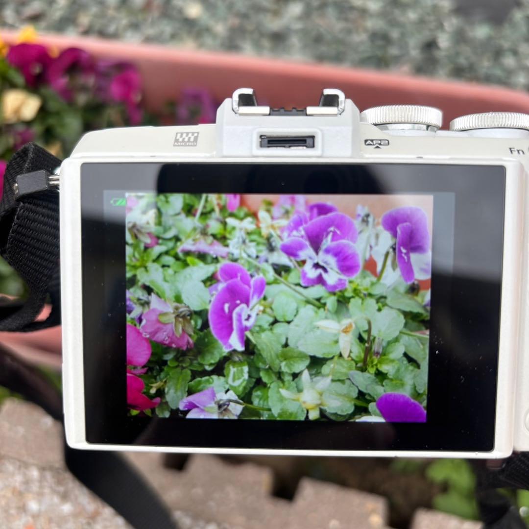 オリンパス M.ZUIKO 17mm F2.8 単焦点パンケーキレンズ