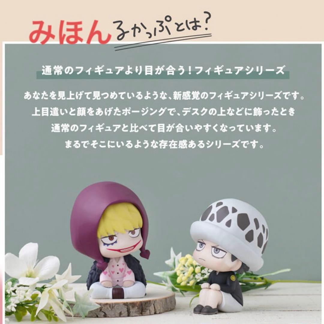 るかっぷ ONE PIECE トラファルガー・ロー 幼少期 コラソン 2種