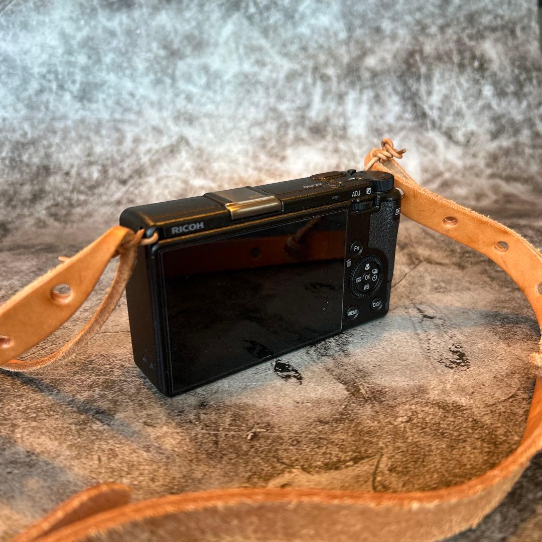 リコー RICHO GRⅢ [ショット数2174枚]