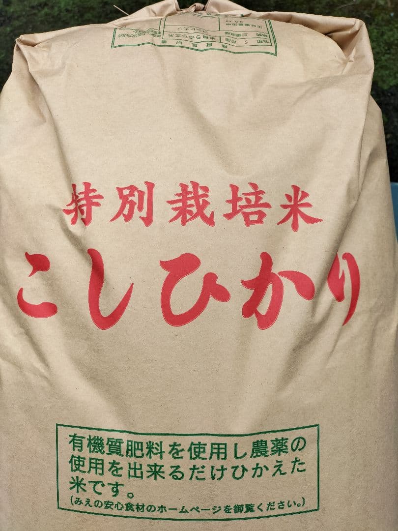 コシヒカリ　20kg　特別栽培米