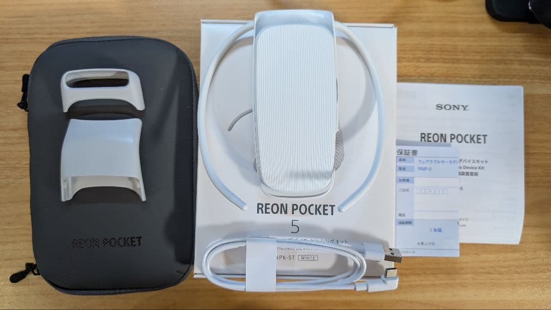 SONY REON POCKET 5（外箱・純正ポーチ付）