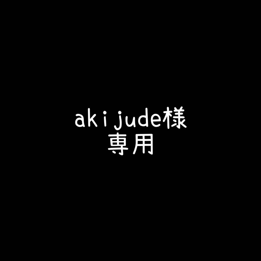 置物 akijude