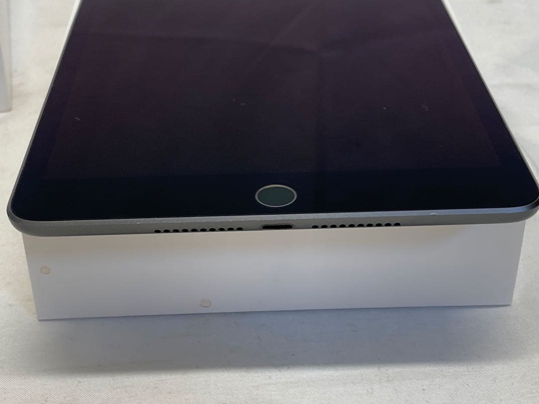 iPad mini 第5世代 256GB Wi-Fi ＋ Cellular