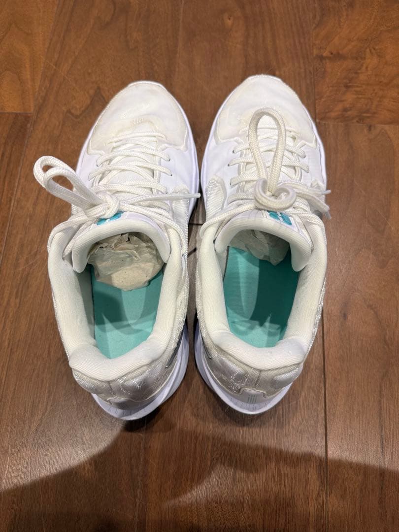 シューズ(男性用) Nike Sabrina 2 EP