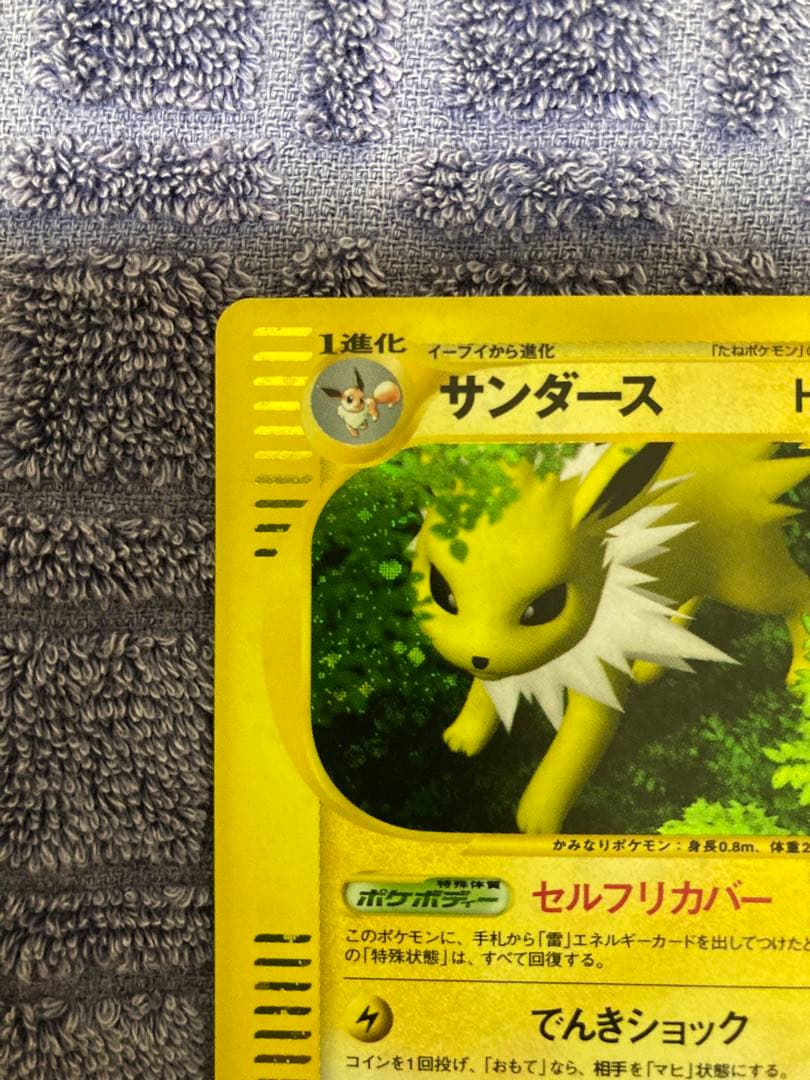 ポケモンカード　サンダース