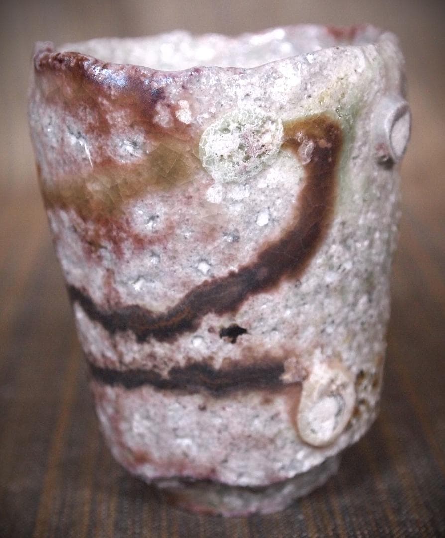 人気作家★高橋燎★信楽【窯変】焼き締め酒器A★トレインキルン薪窯