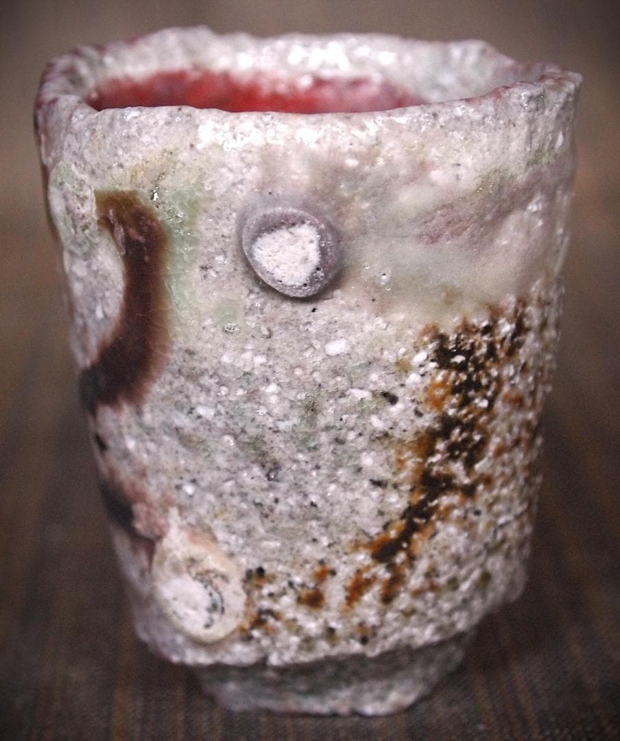 人気作家★高橋燎★信楽【窯変】焼き締め酒器A★トレインキルン薪窯