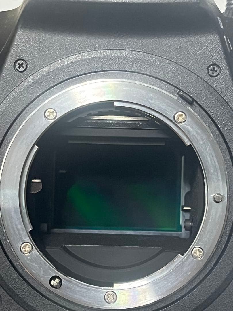 Nikon D780 自作アイピース付き シャッター4万代