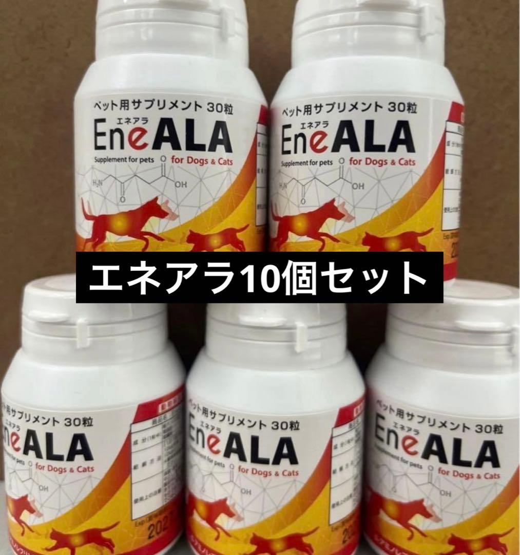 激安！！エネアラ　10個
