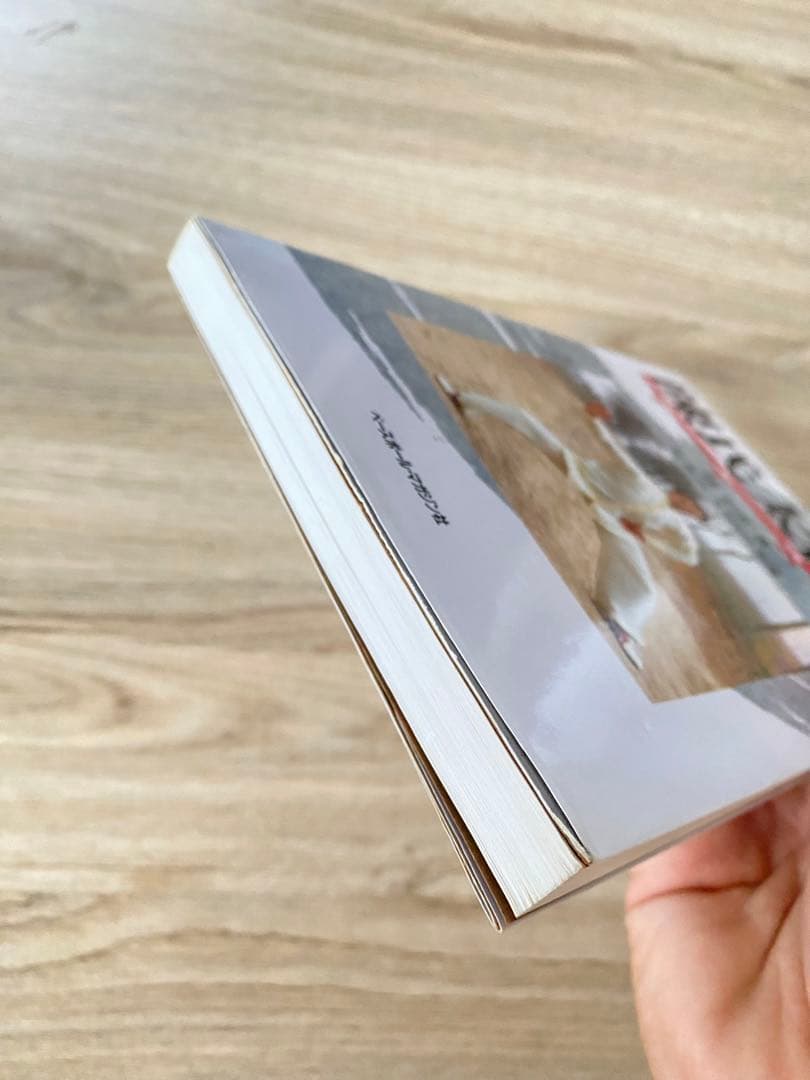 陳氏太極拳テキスト