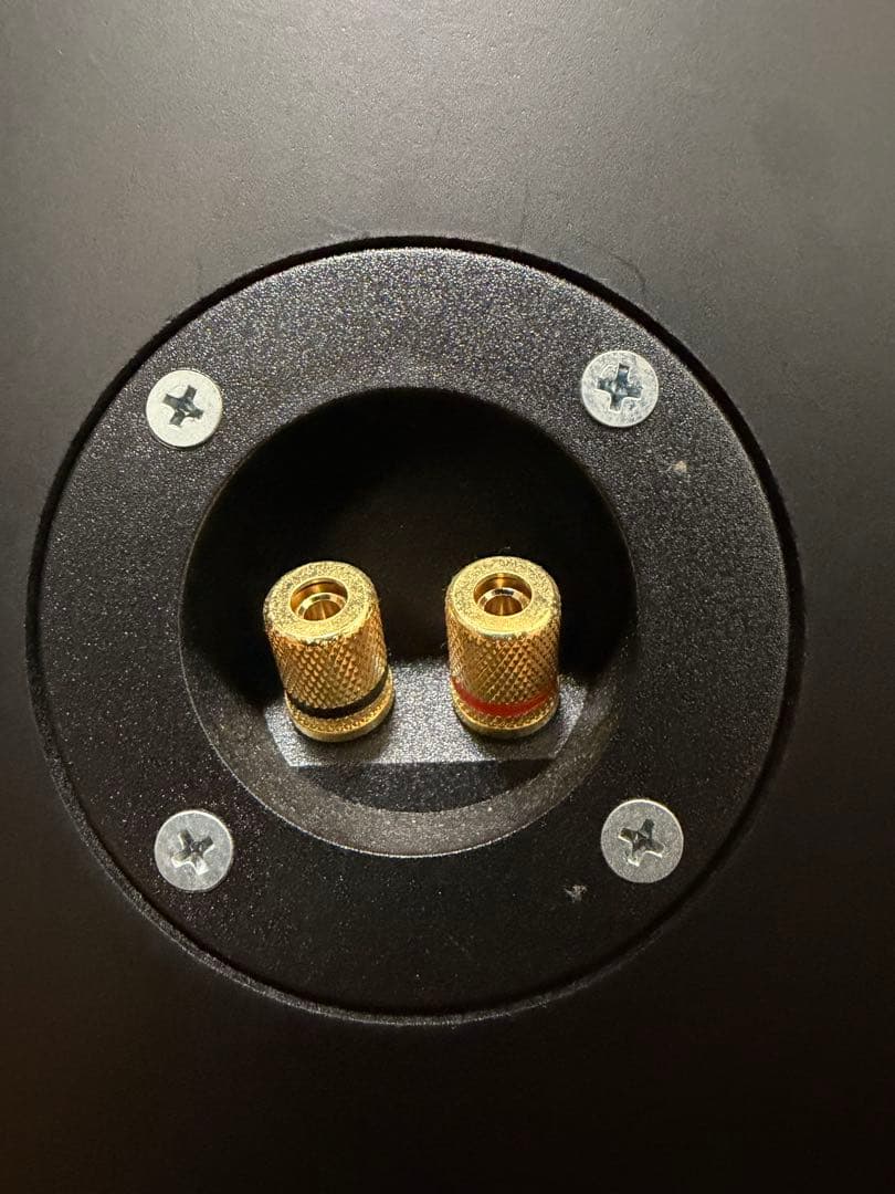 DIECOCK ブラック スピーカー ペア