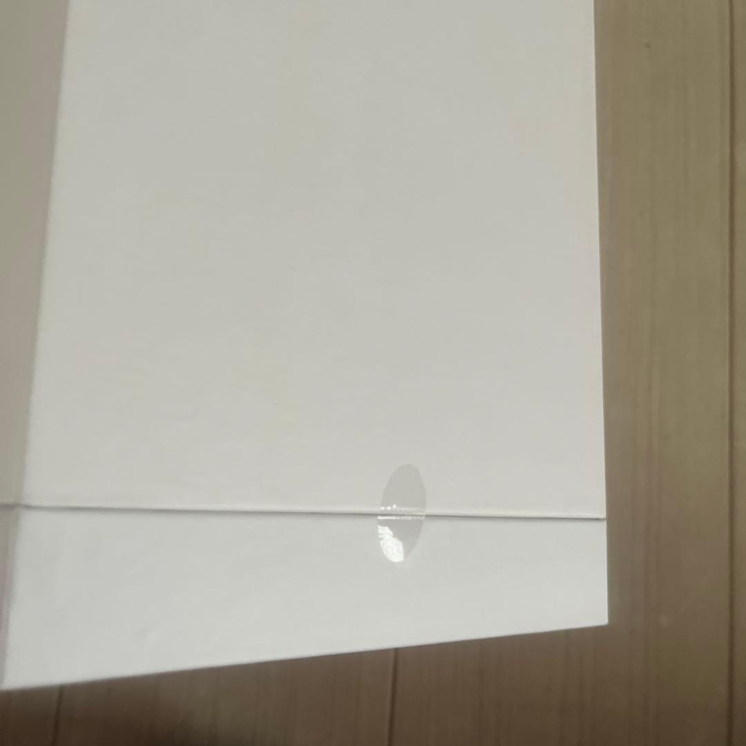 ※あなきん※新品未使用 SALONIA フェイススチーマー ベージュ