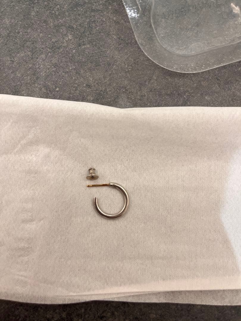 CAREERING 301 PLACEBO シルバー 両耳