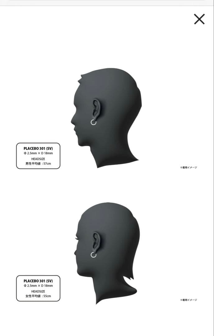 CAREERING 301 PLACEBO シルバー 両耳