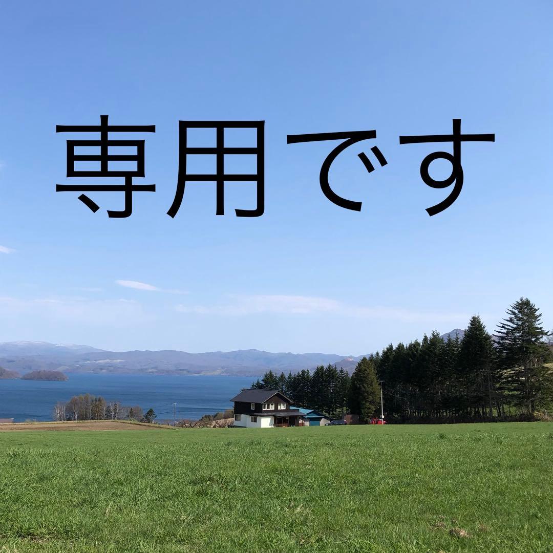 【専用です】Cravar Alpha 10 レザーショルダーバッグ