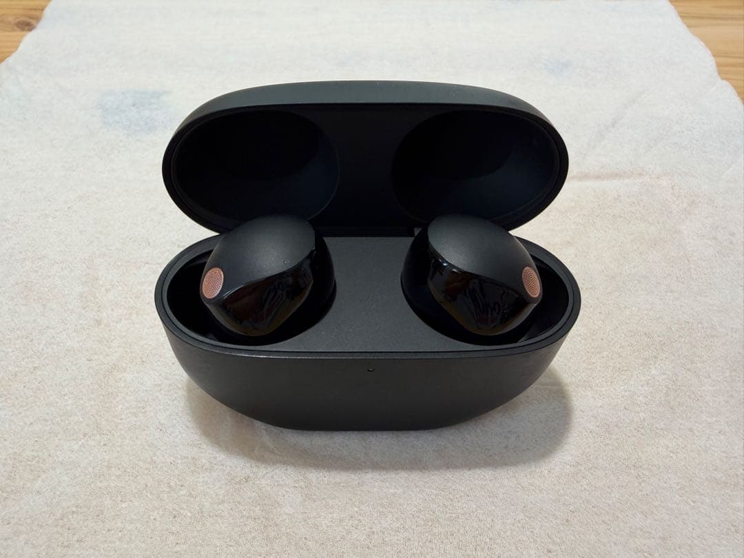 【ケース】SONY WF-1000XM5 ブラック ソニー ワイヤレスイヤホン