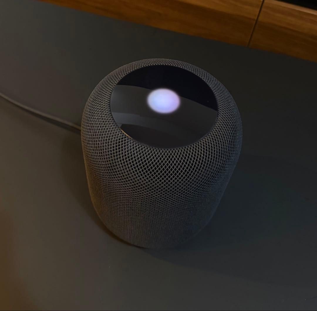 Apple Pod 第一世代 ブラック 本体のみ