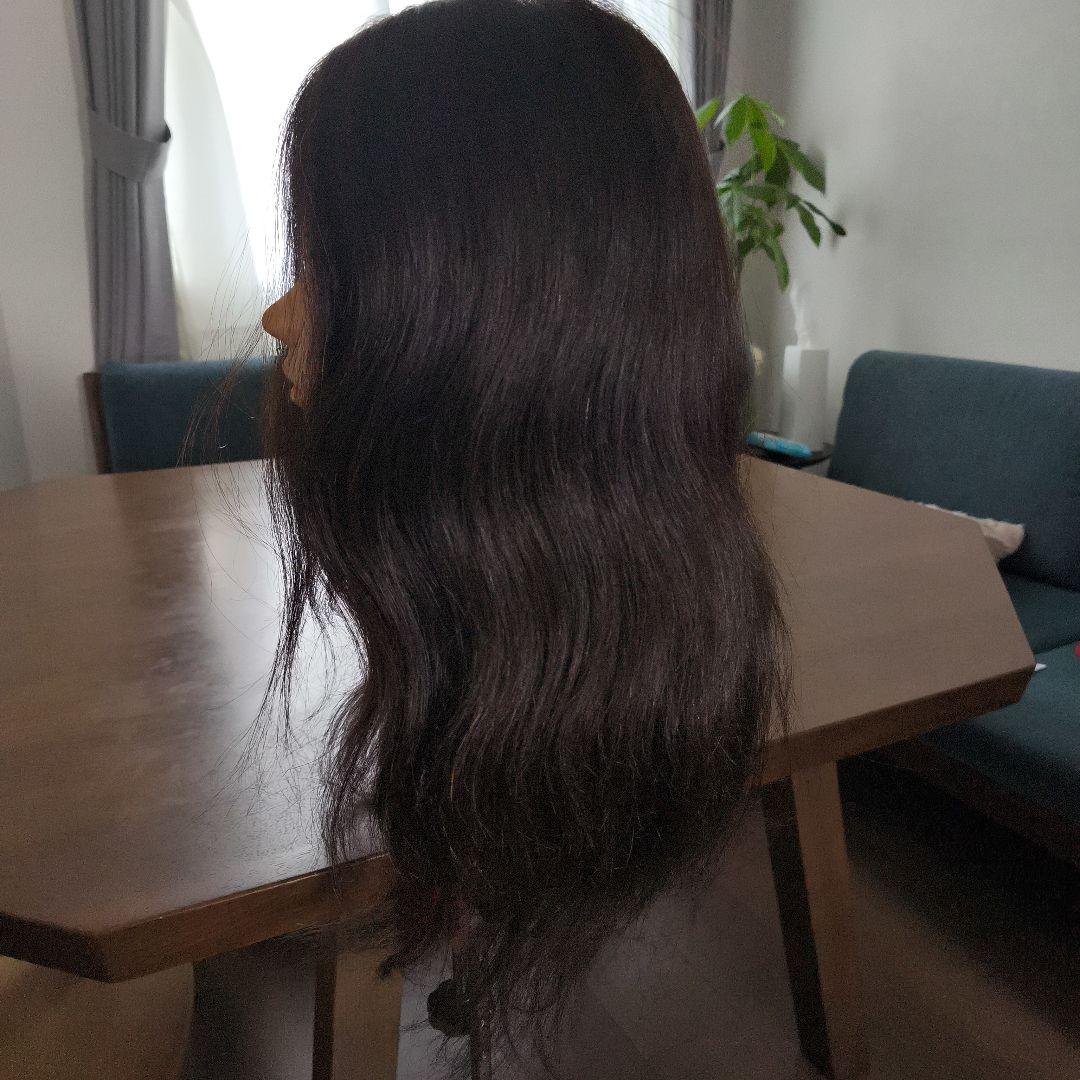 【早いもの勝ち】ウィッグ レジーナ アップ用 088 SDL ロング