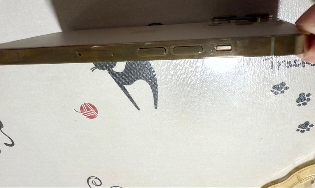 Apple iPhone 13 Pro ゴールド 本体および付属品セット