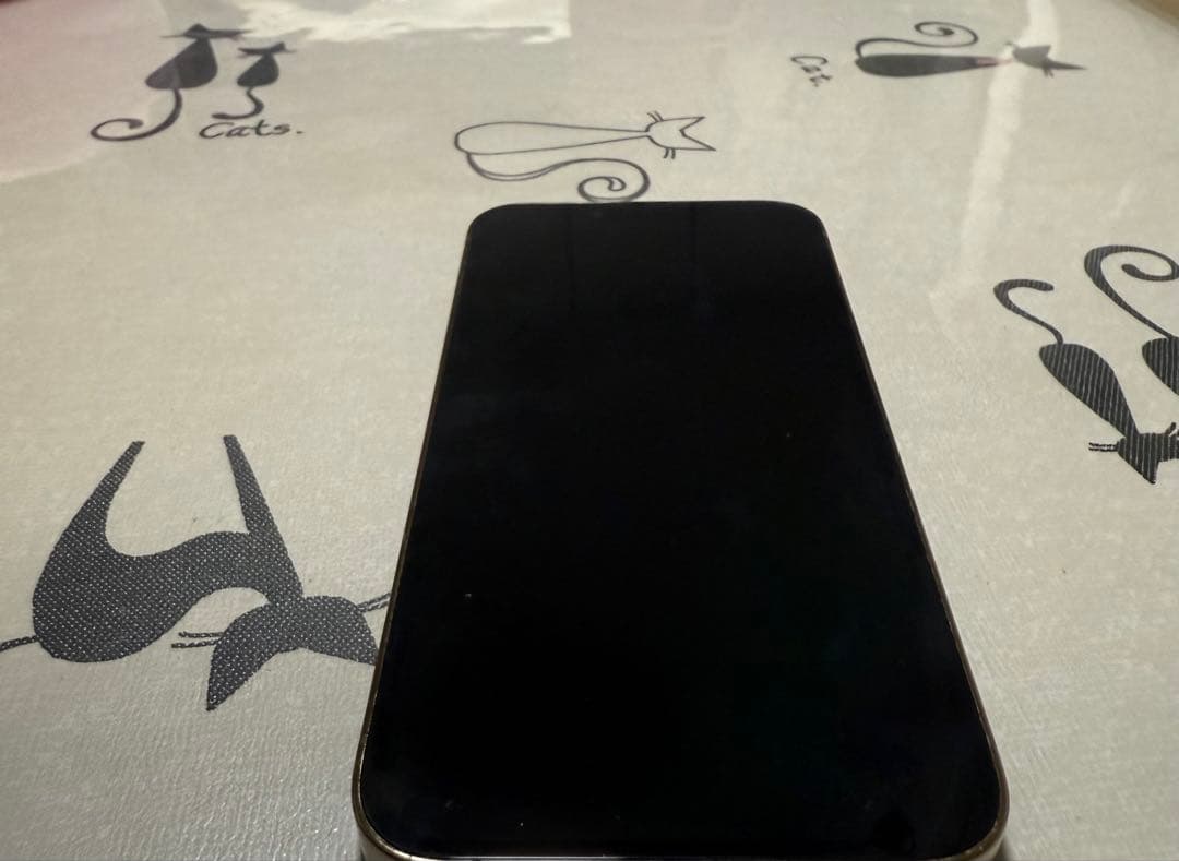 Apple iPhone 13 Pro ゴールド 本体および付属品セット