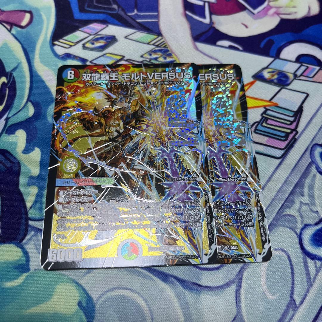 双龍覇王　モルトVERSUS 二枚