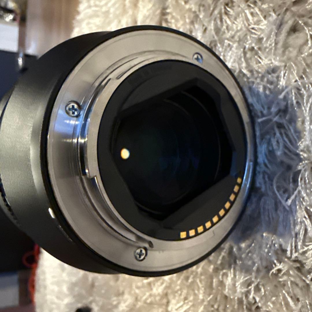 Sony Distagon T* FE 35mm F1.4 ZA 単焦点レンズ