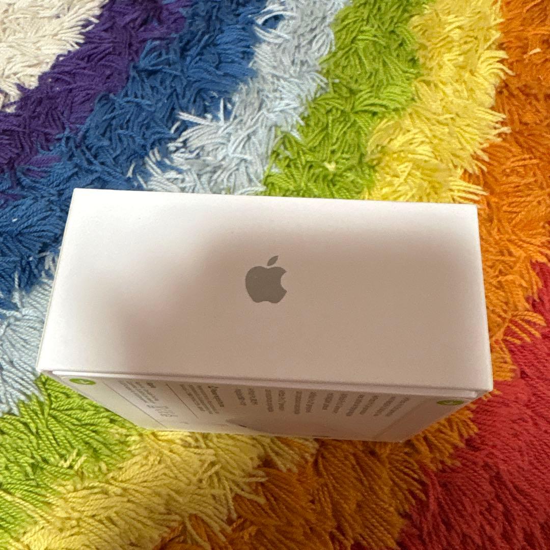 新品未開封 2025年3月購入品　AirPods Pro 第2世代 USB-C