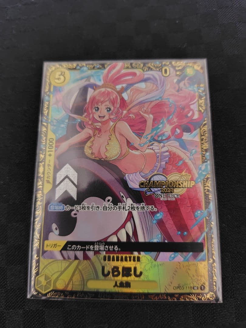 【未開封】しらほし　エリア　チャンピオンシップ　ベスト16 プロモ