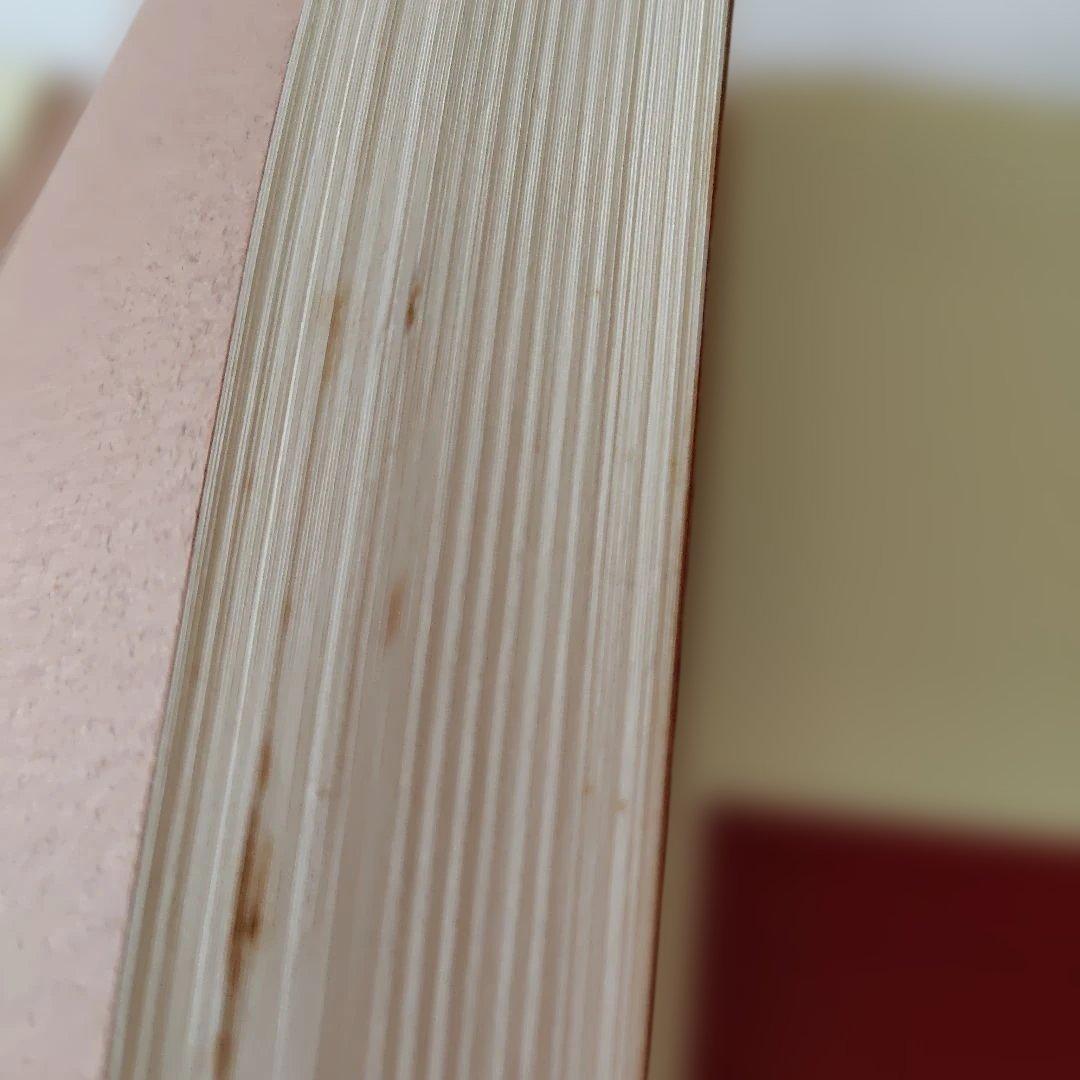 高市早苗のぶっとび永田町日記