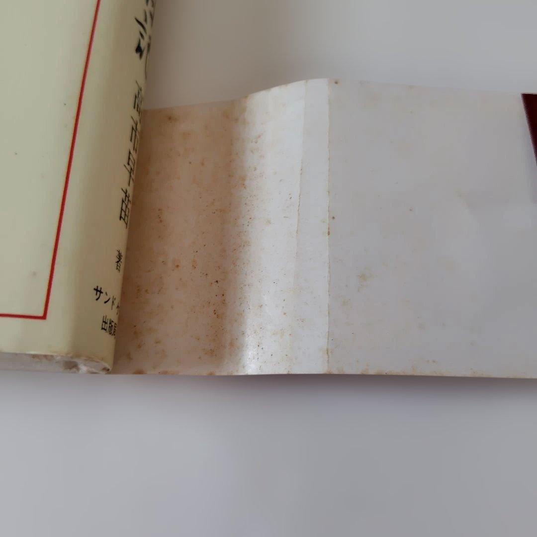 高市早苗のぶっとび永田町日記