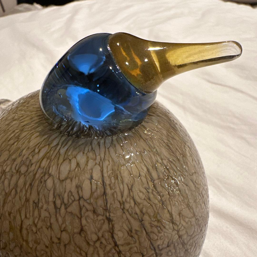 イッタラ オイバトイッカ / Dotterel バード