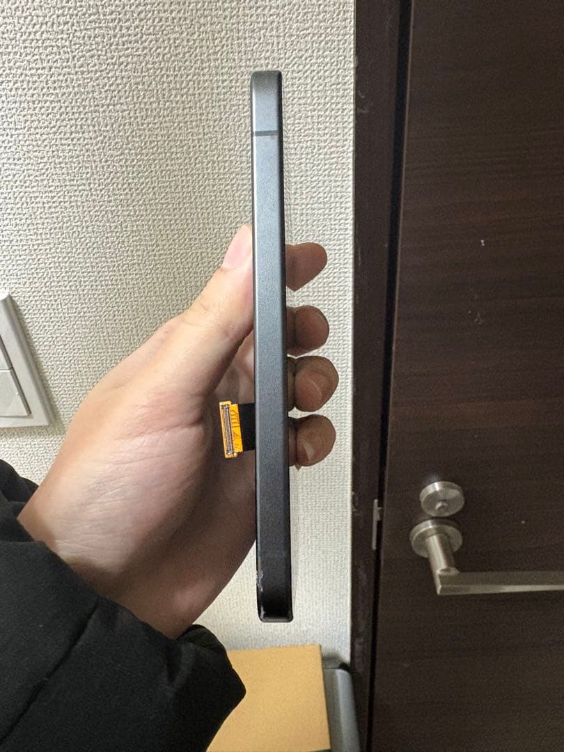 Google Pixel 9a パネルのみ