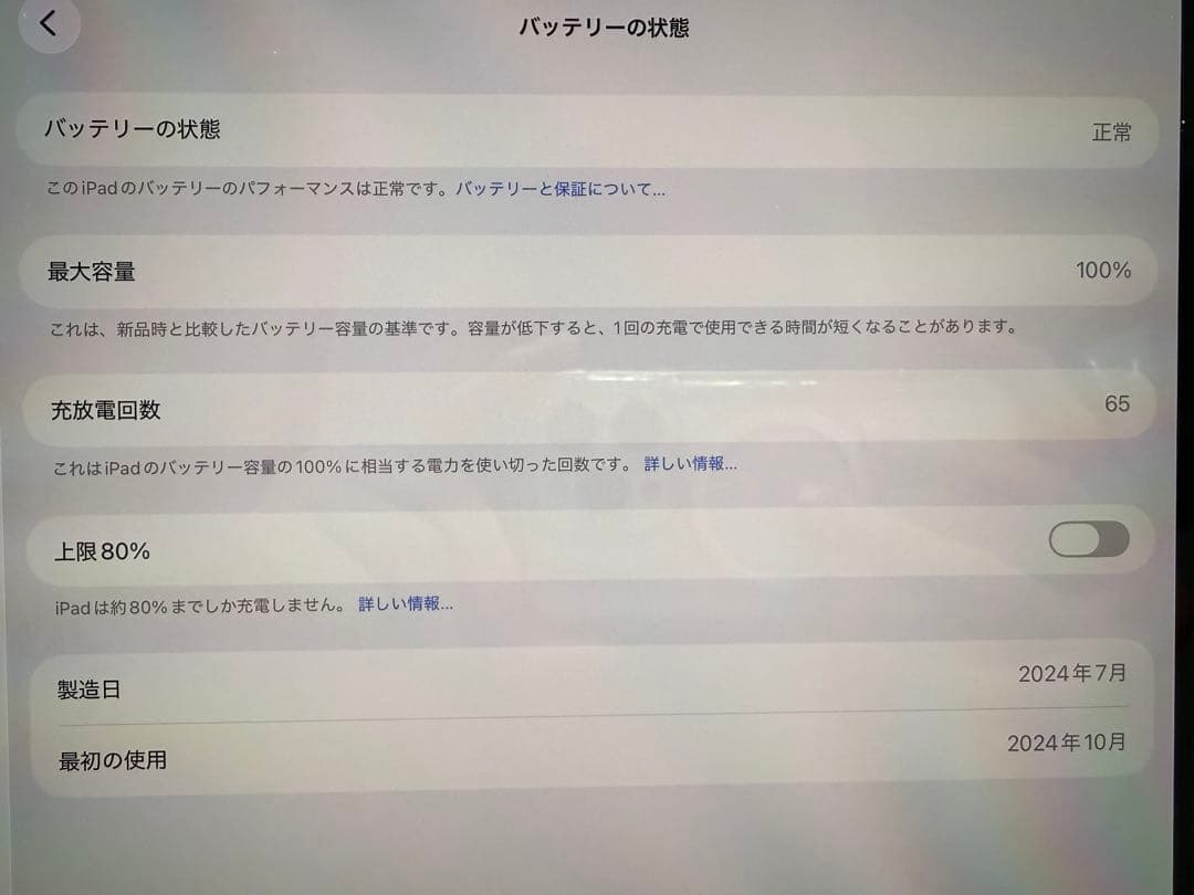 Apple iPad Pro 11インチ 256GB Wi-Fi