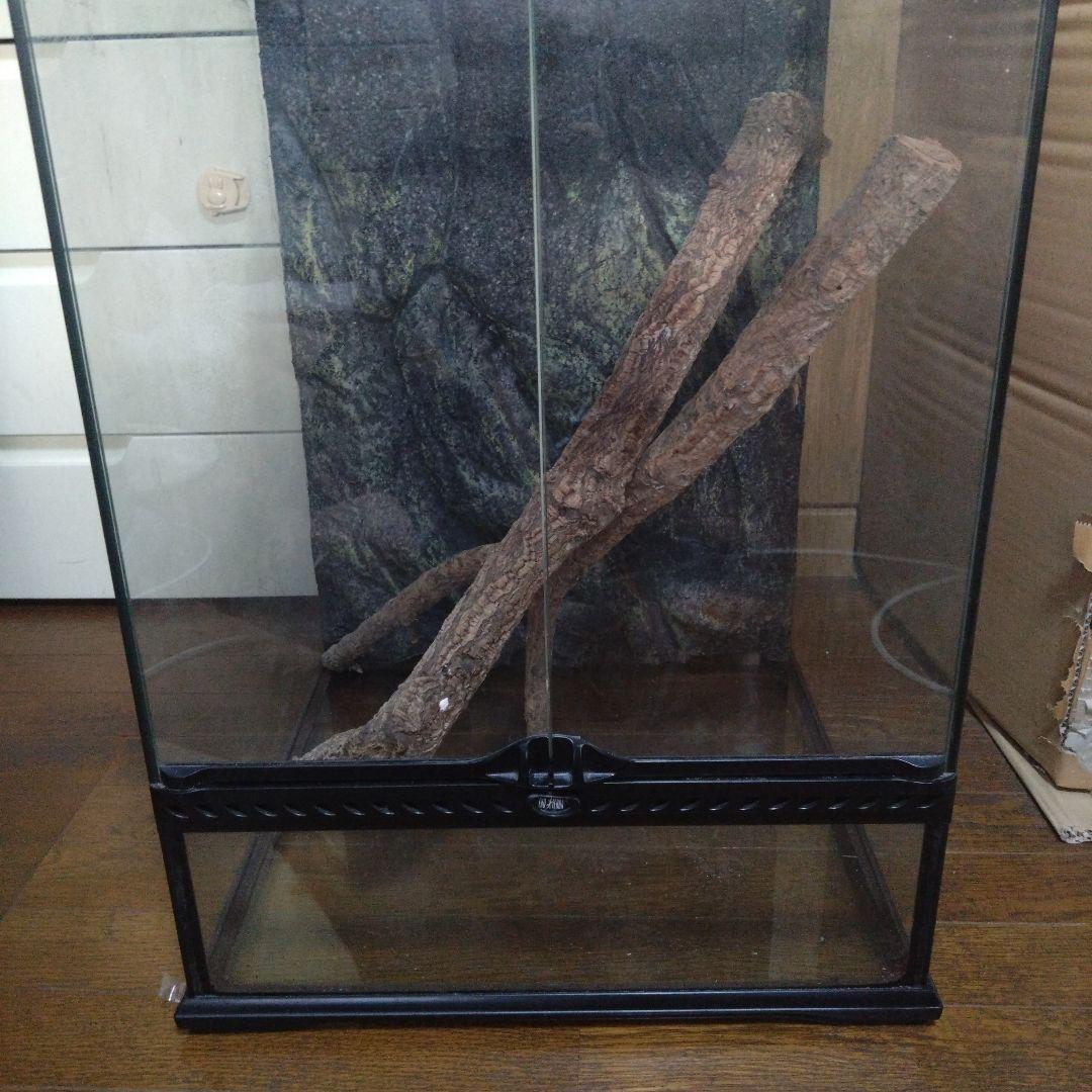 中型ガラス温室・ショーケース