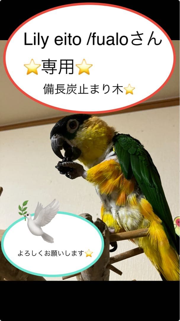 備長炭止まり木⭐️パーチ⭐️止まり木⭐️専用です♪♪( ´θ｀)✨