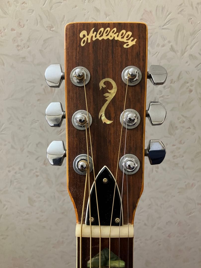 Hillbillyヒルビリー W-40 木曽鈴木バイオリン製 アコギ 整備済