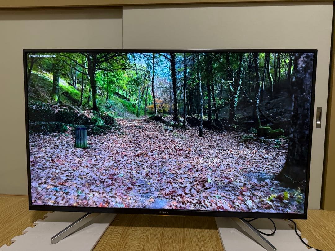 ソニー　KJ-43X8000G 43型2019年製⭕️地上 BS/CS動画可テレビ