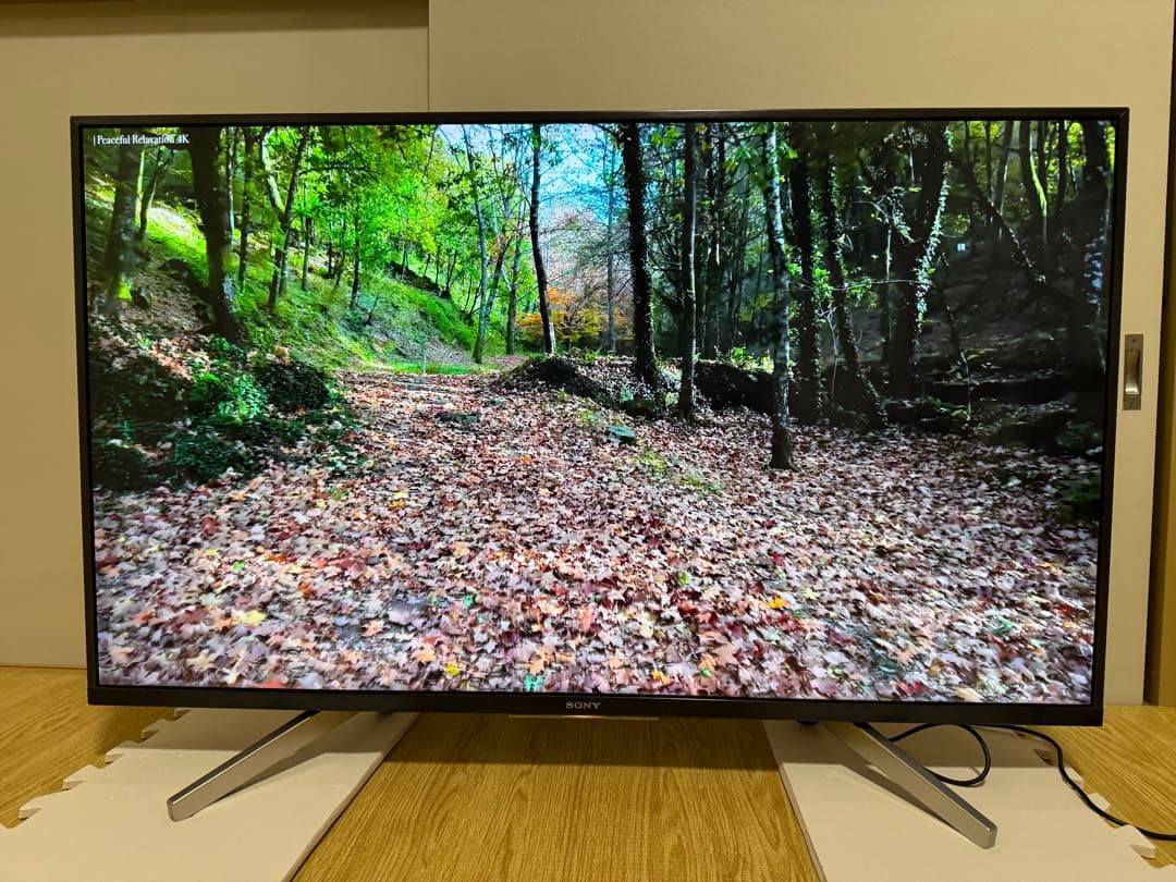 ソニー　KJ-43X8000G 43型2019年製⭕️地上 BS/CS動画可テレビ