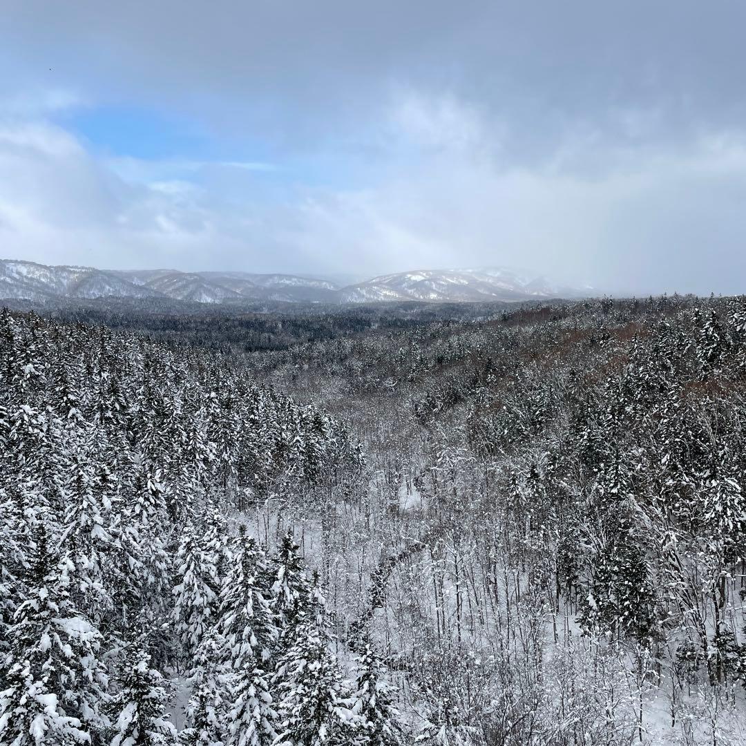 鹿ジャーキー犬用 脛スティック900g＆鹿ジャーキー犬用800g