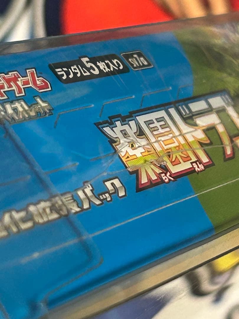 ポケモン 楽園ドラゴーナBOXシュリンク付き　訳あり